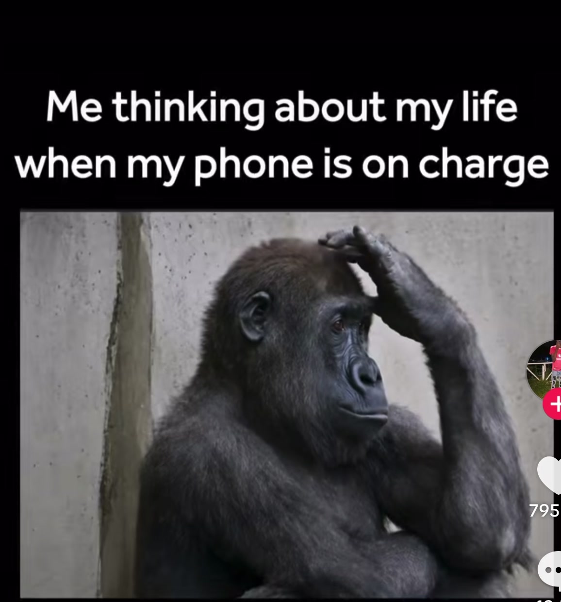 @Worldcontent2