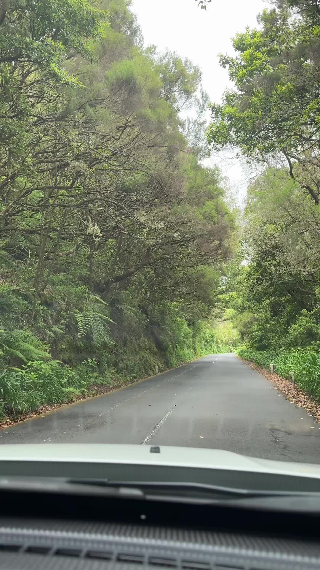 @ImpactAzul Madeira Island Tour