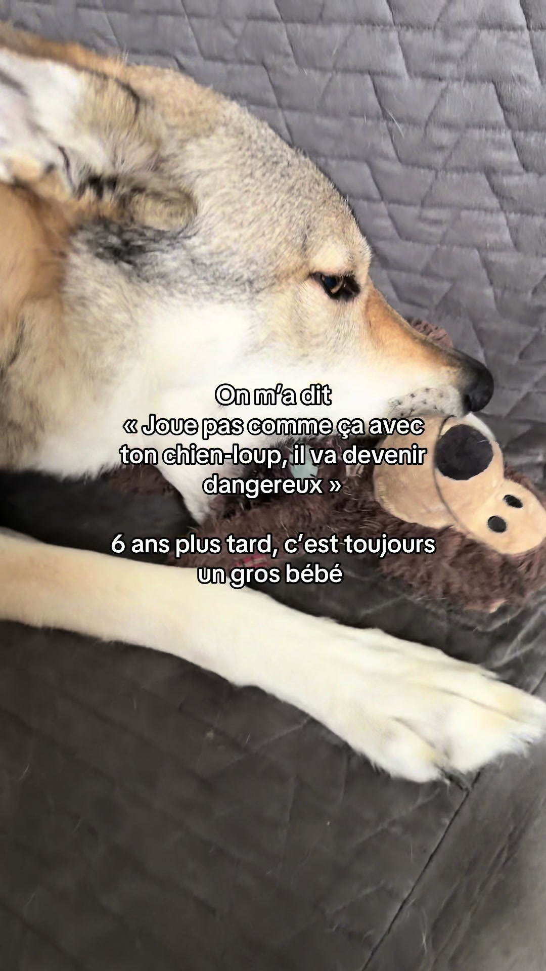 @La meute d’Otone 🐺