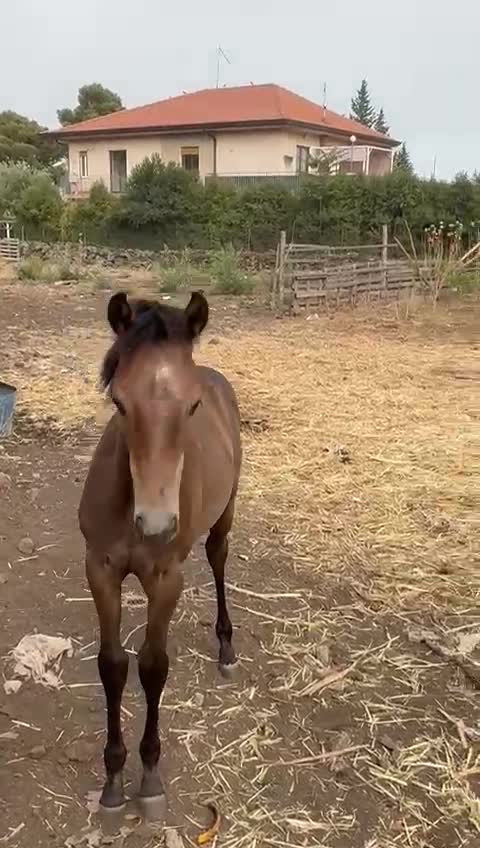 @3timetotime