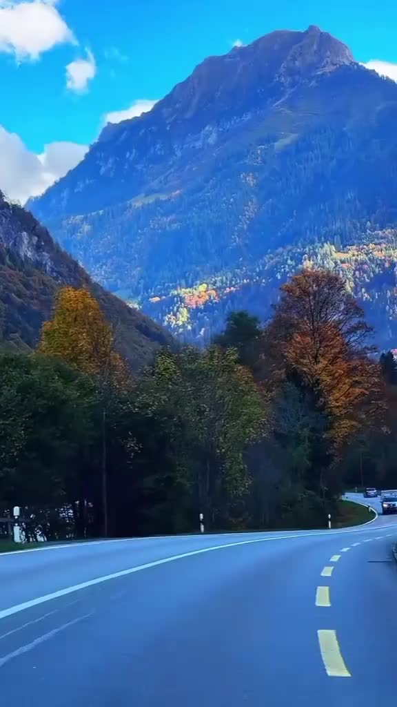 @tiborkis258