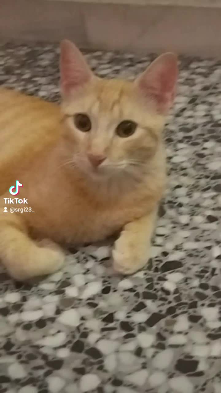@srgi23_