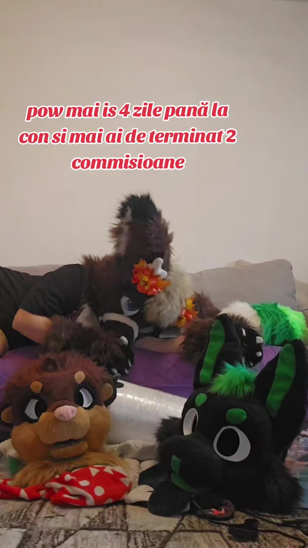@🦌🇷🇴Yara_wolf🇷🇴🦌