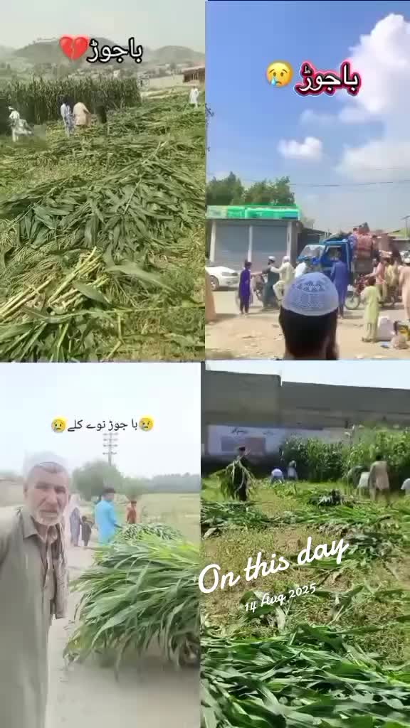 @nasr ullah