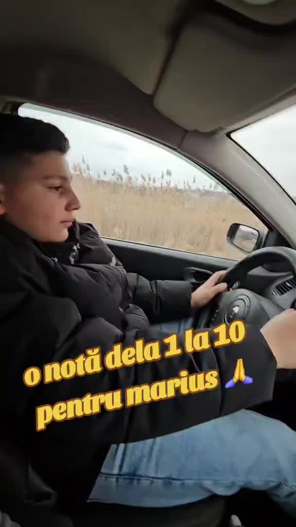 @Vladik Fieraru