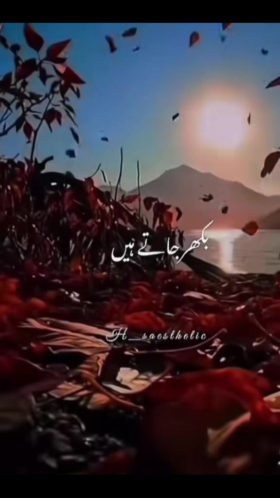 @Vaneeza khan🏴