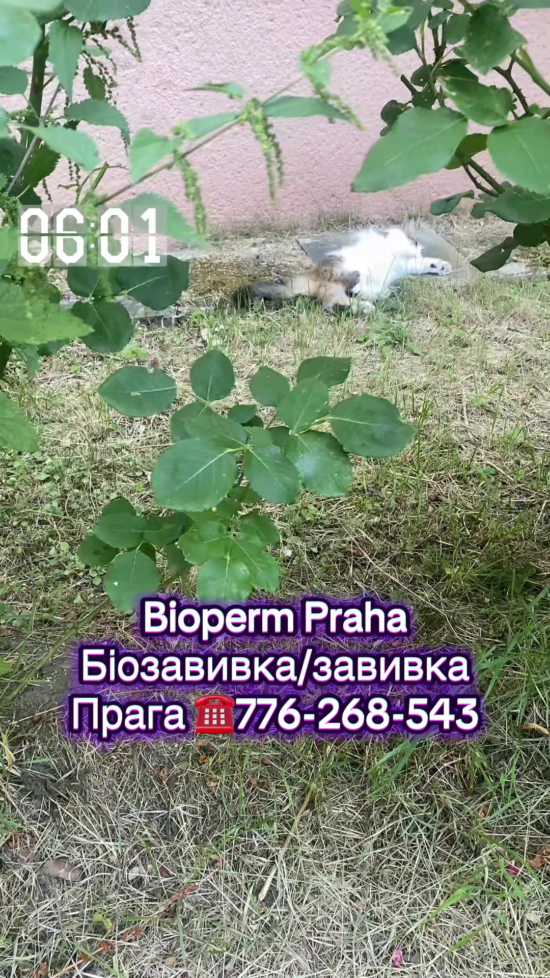 @biozavivkapraha