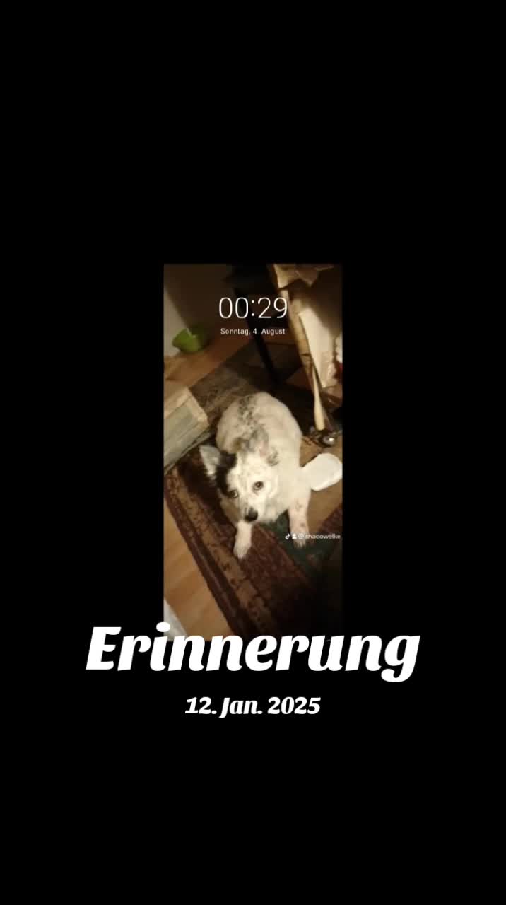 @💀💀DasBöse💀💀