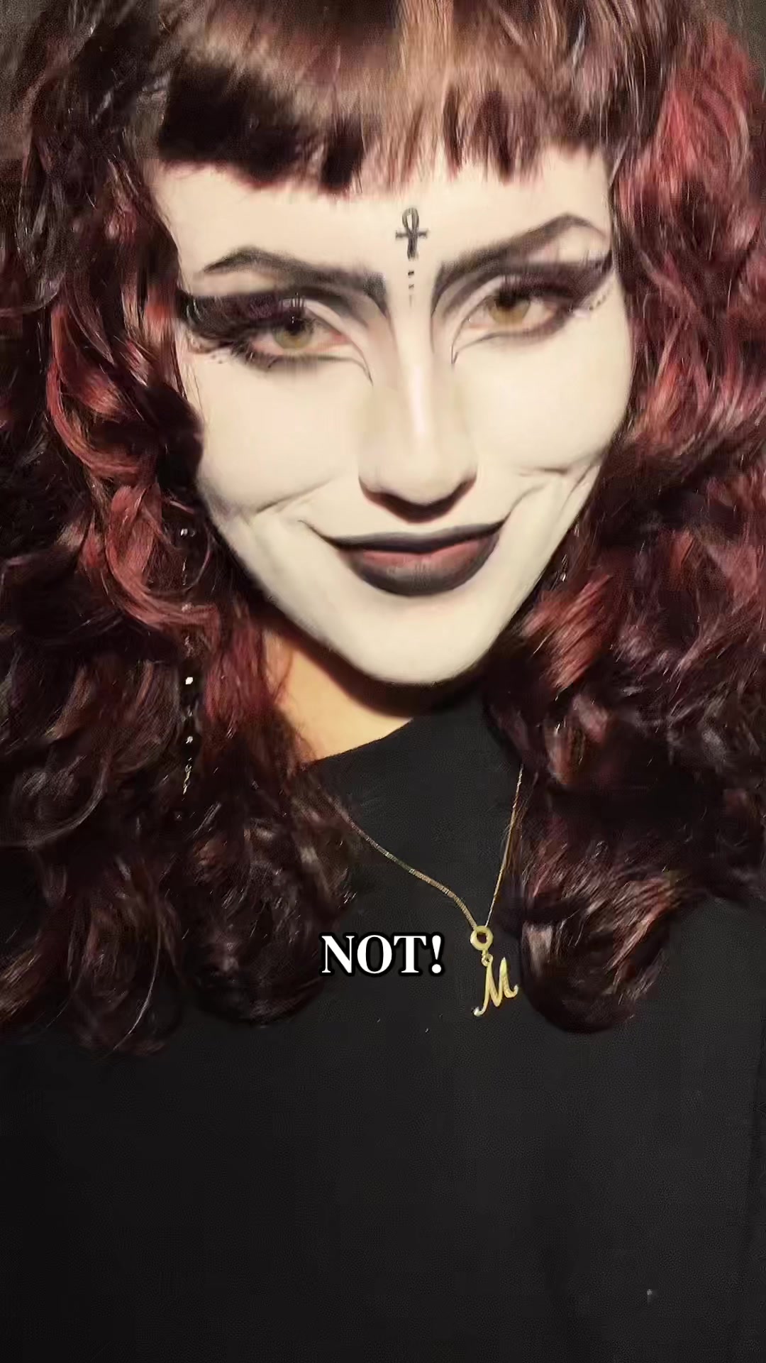 @thatgirlobsessedwithcats