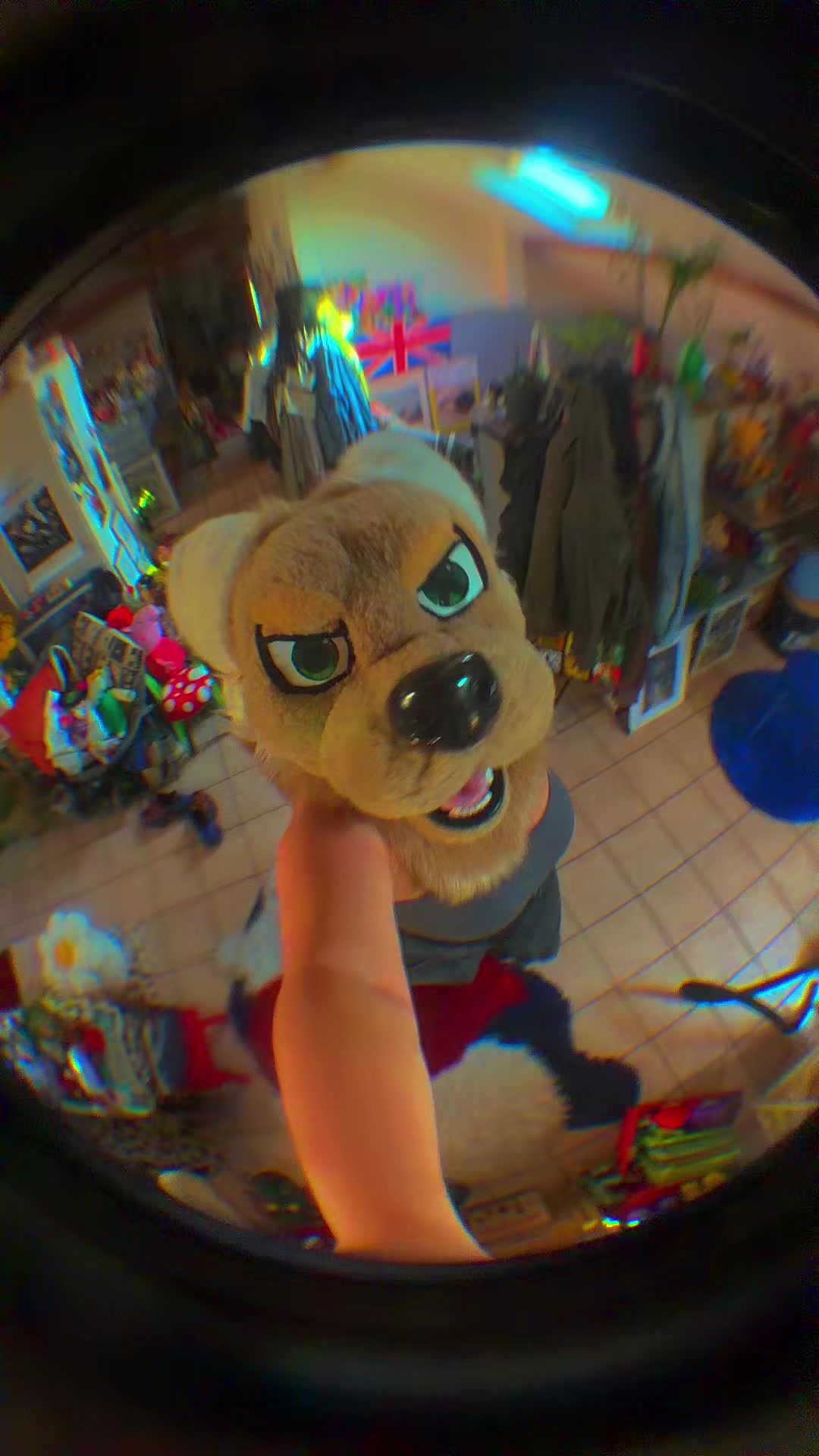 @Fur Sweet Home