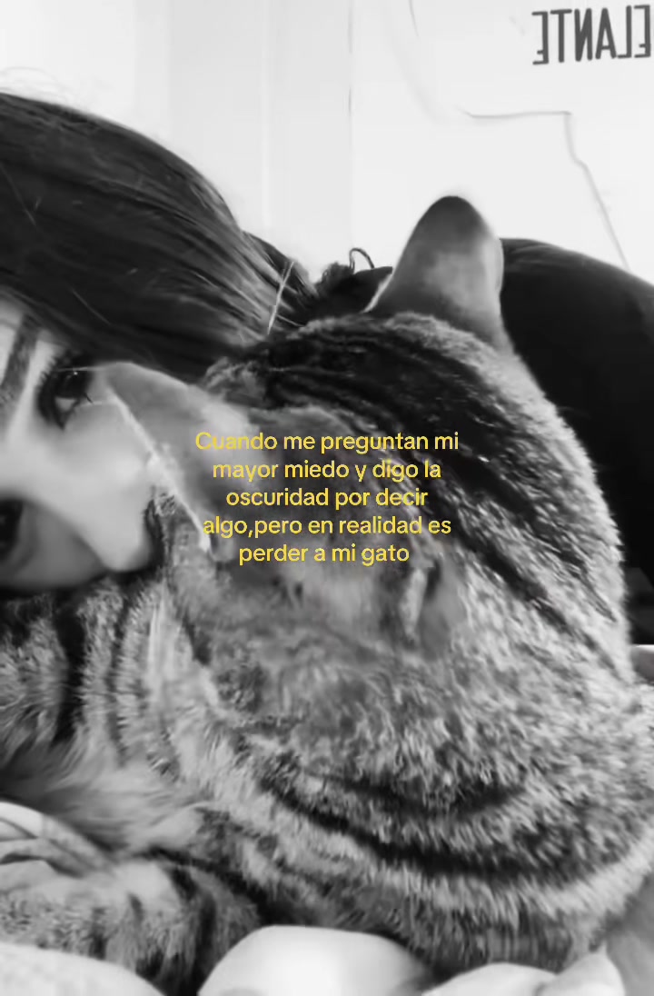 @yanisancheeezzz_