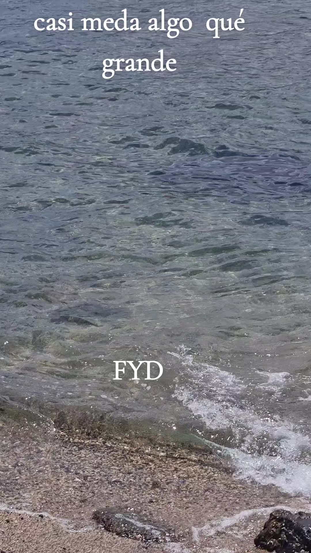 @fefi24 🫶 Испанский 🇪🇦 я