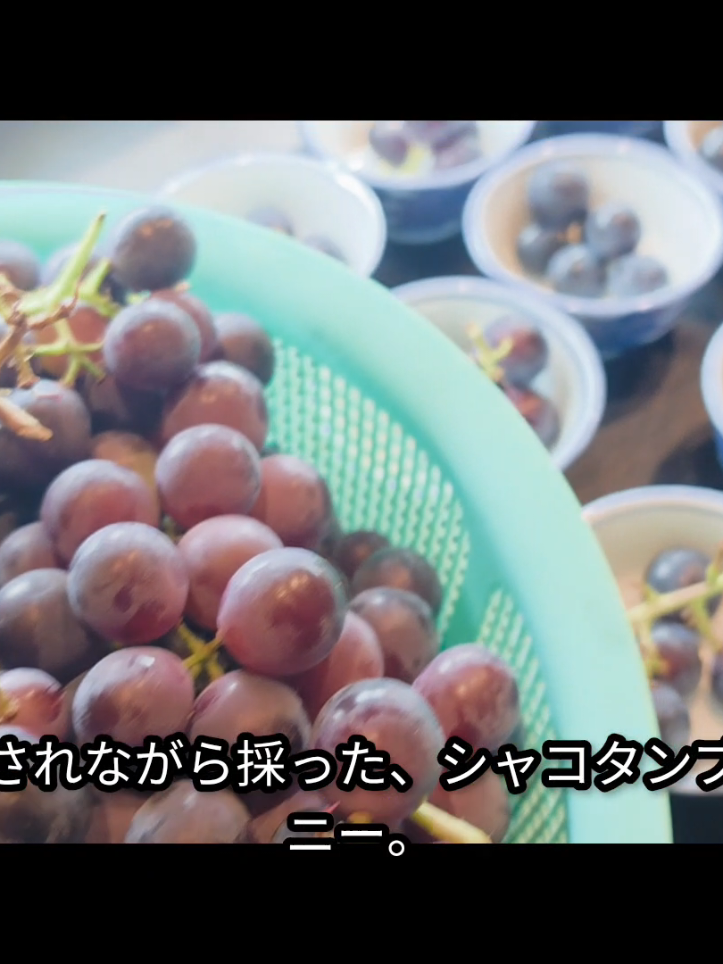 @海鮮味処御宿新生(神威岬に最も近い御宿+食堂)