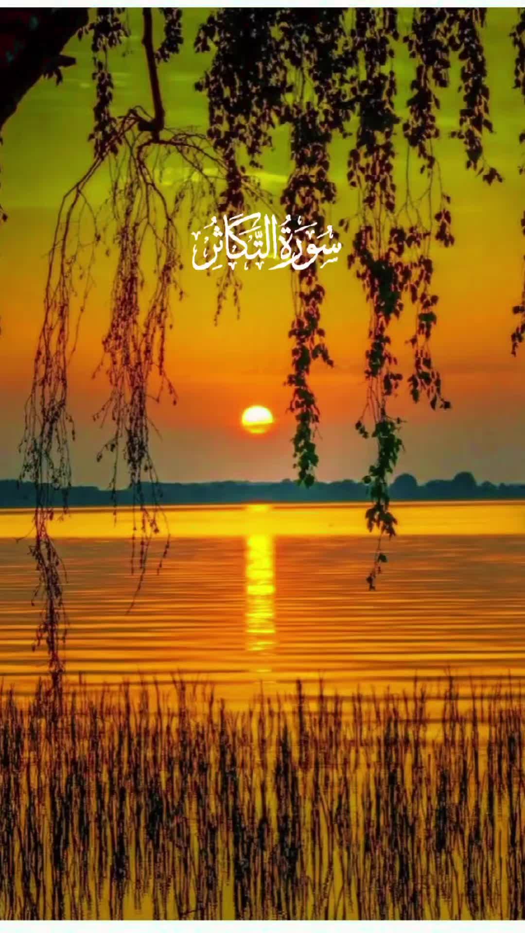 @فاطمہ 👸🏻