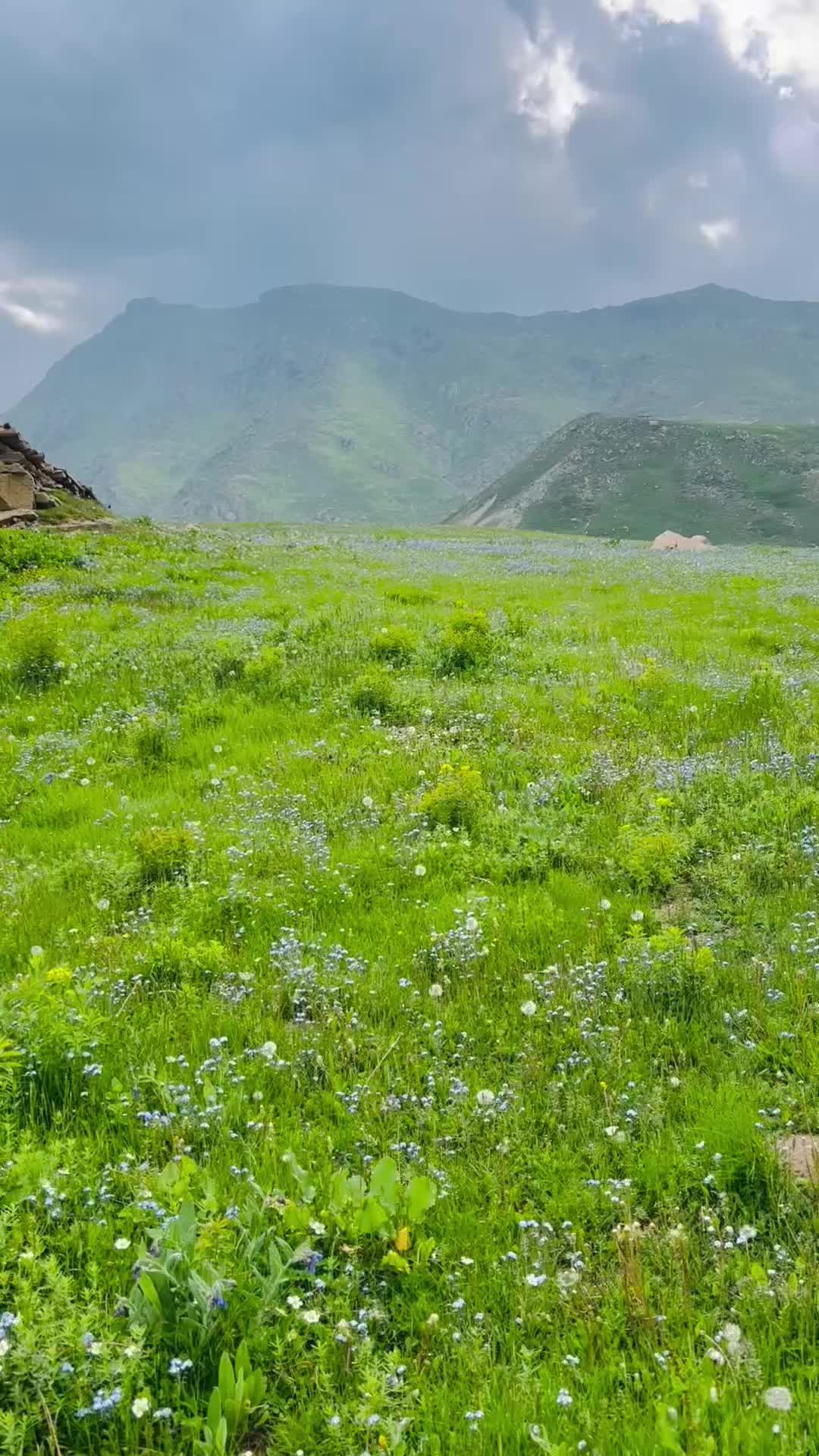 @Swat Valley