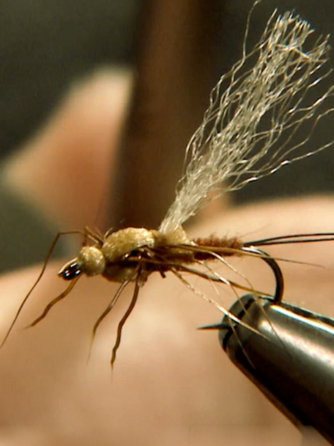 @Fishing TV