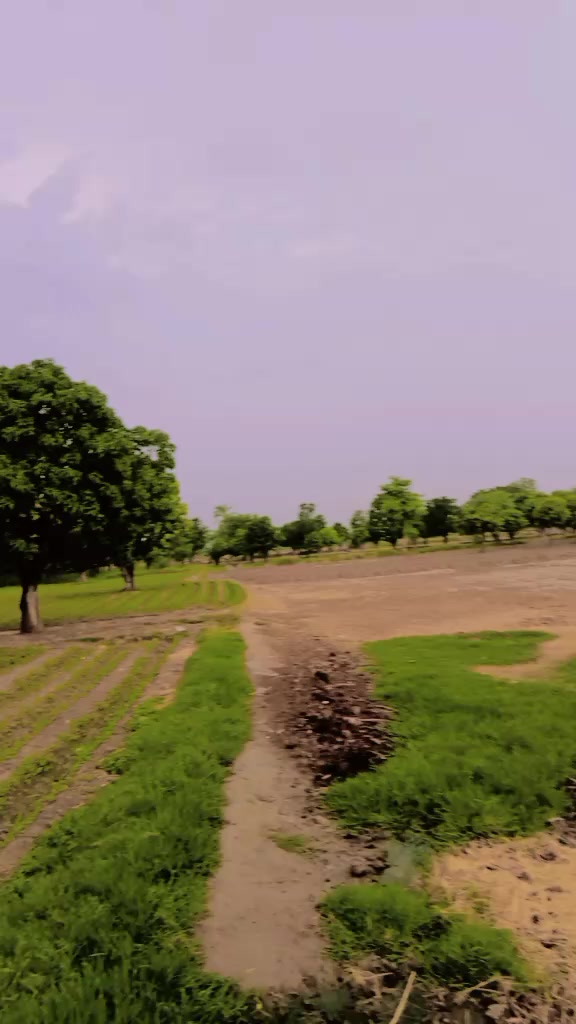 @shoaibshah
