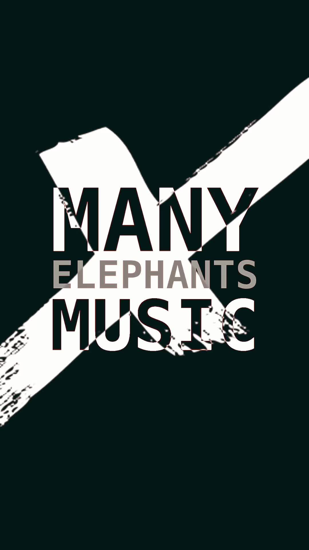 @Many Elephants Music
