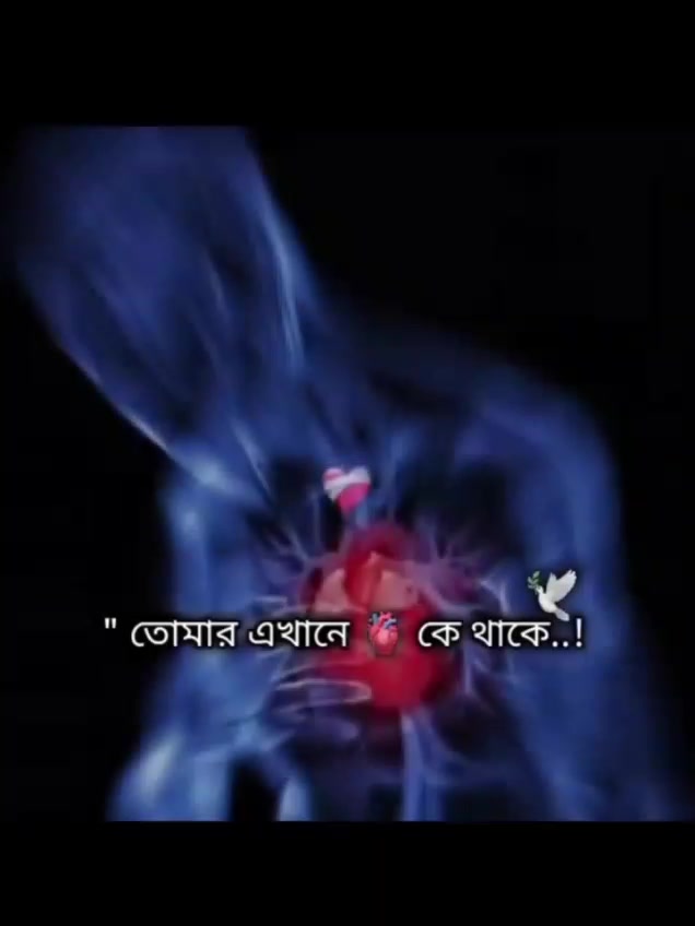 @NEHAL KARIM