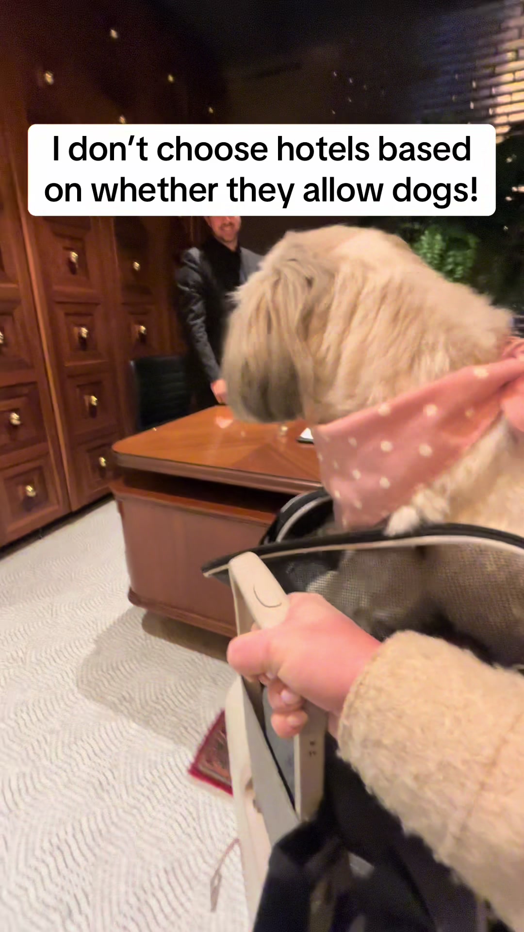 @Daisy | The Dog Travel App