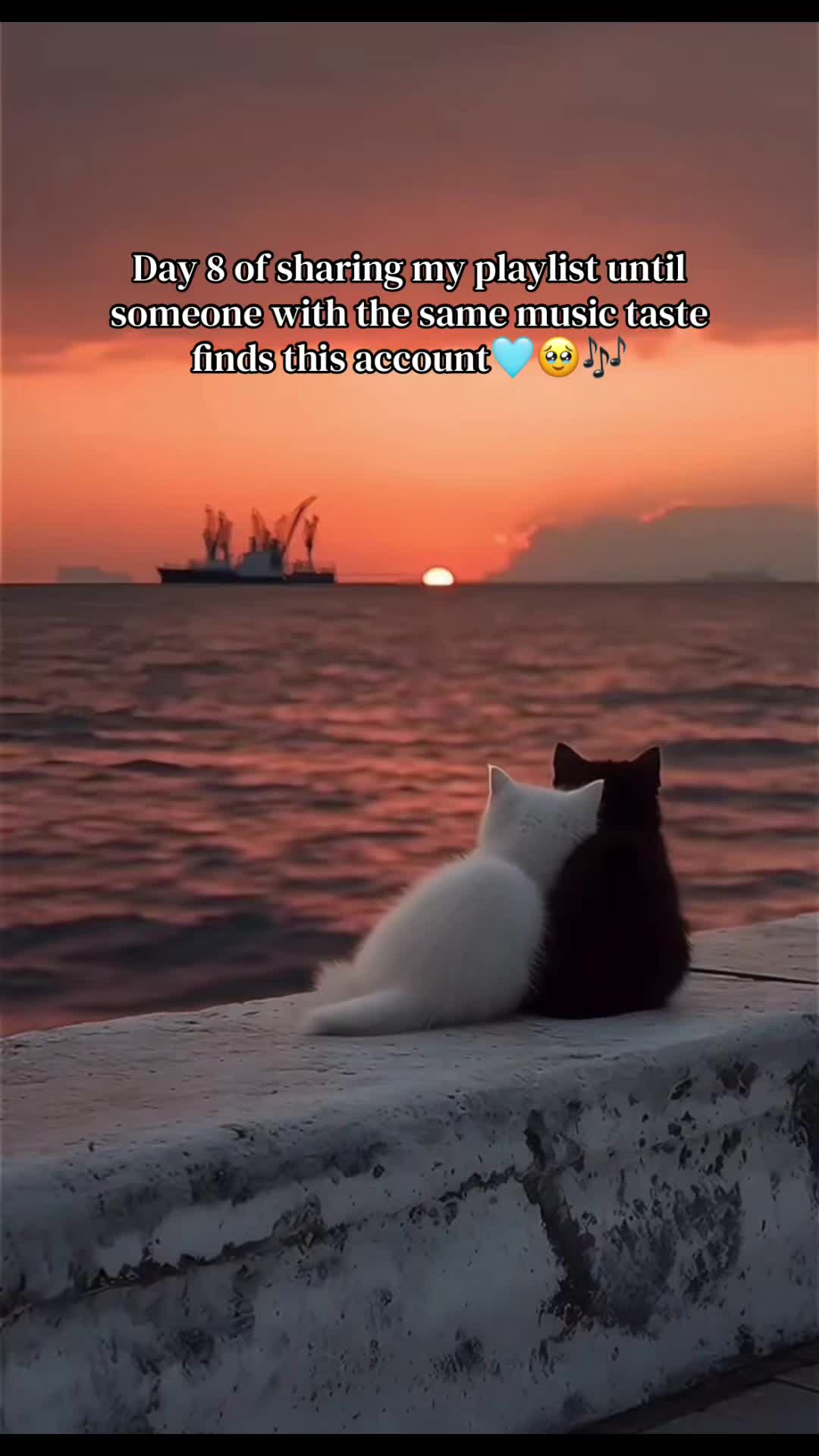 @✨🩵Ama_Serwaa🩵✨