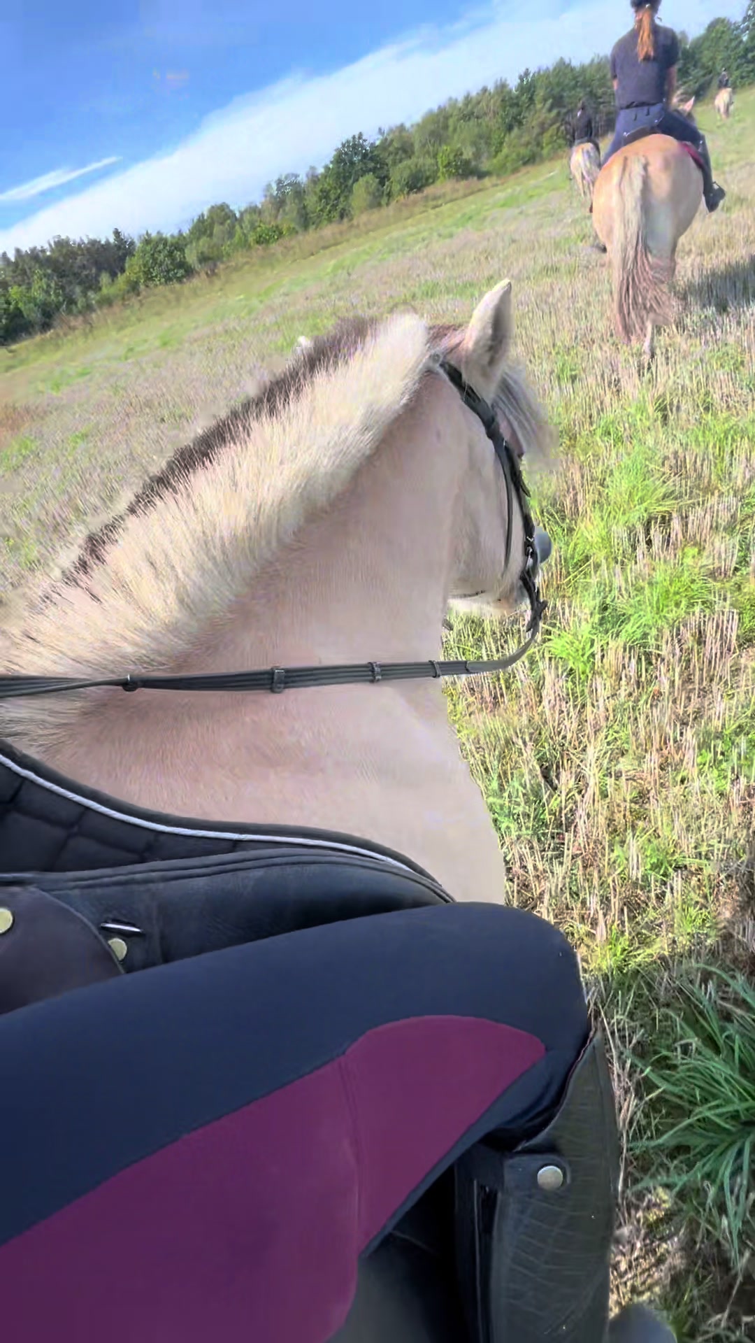 @♡Ronja♡