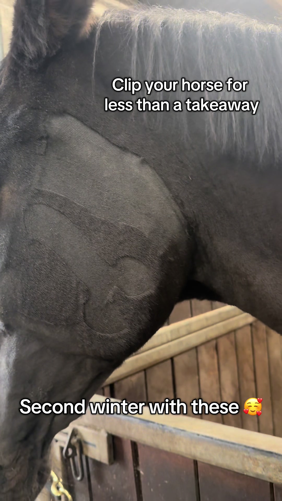 @RavenSide Equestrian