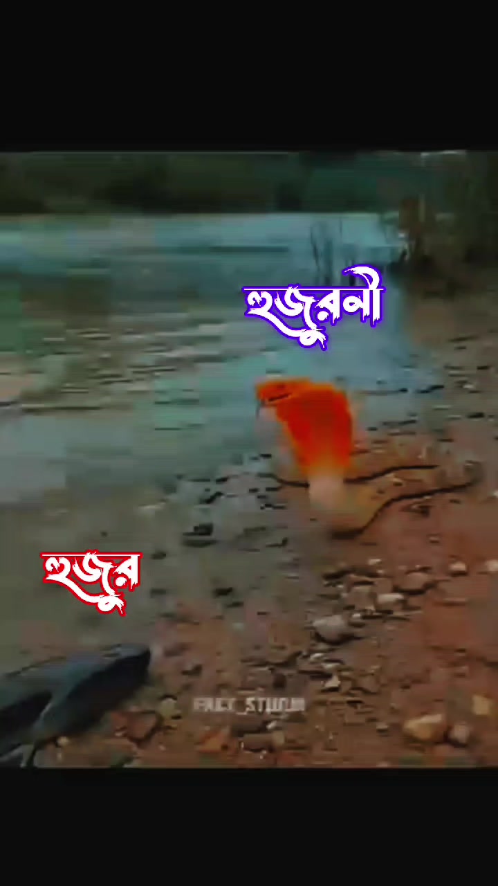 @⋆𐙚.Rajᥫ᭡kumar♡