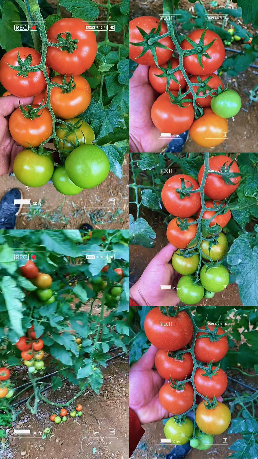 @Hakan.Karadayı