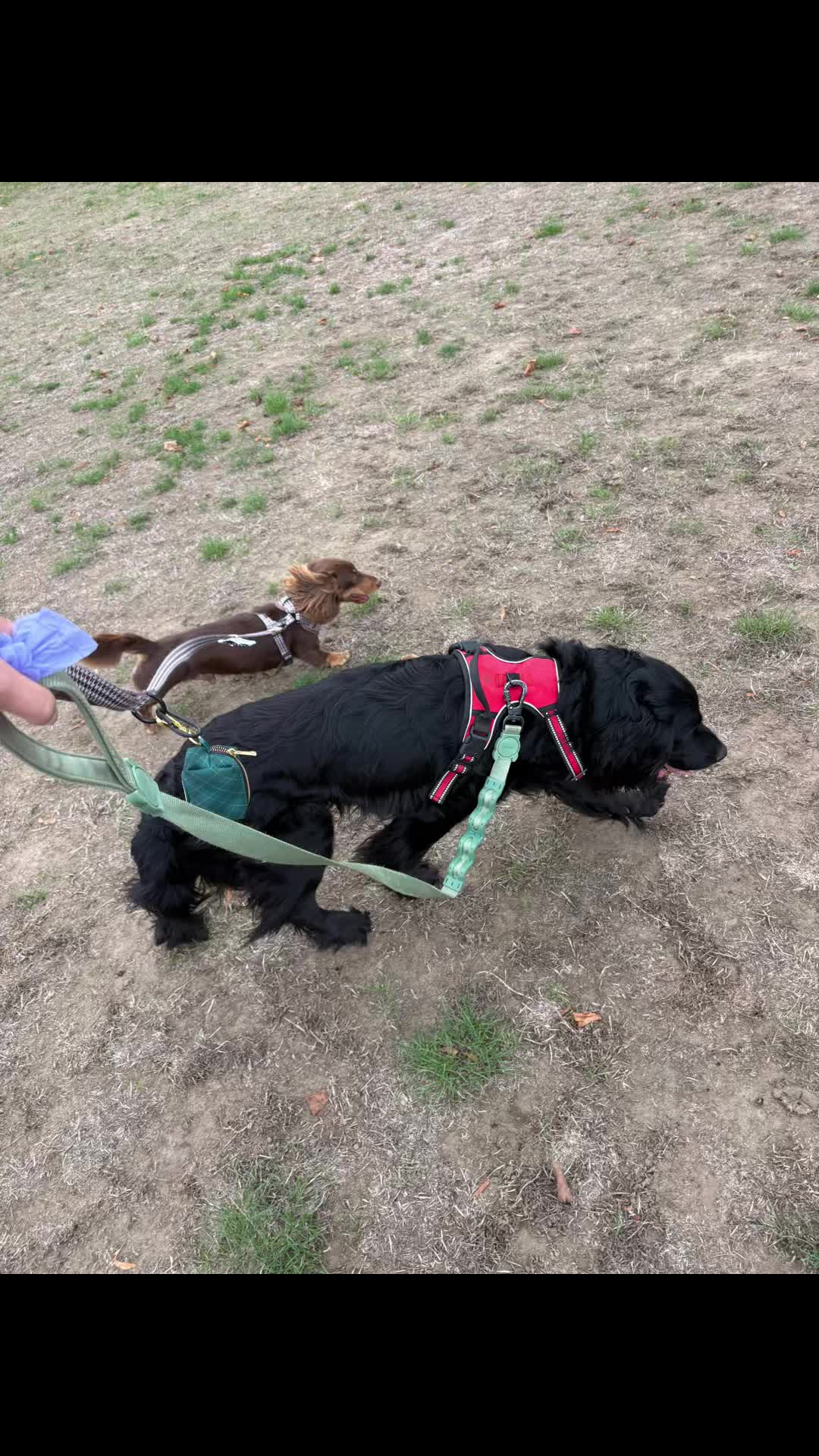 @tswoofwoof.co.uk
