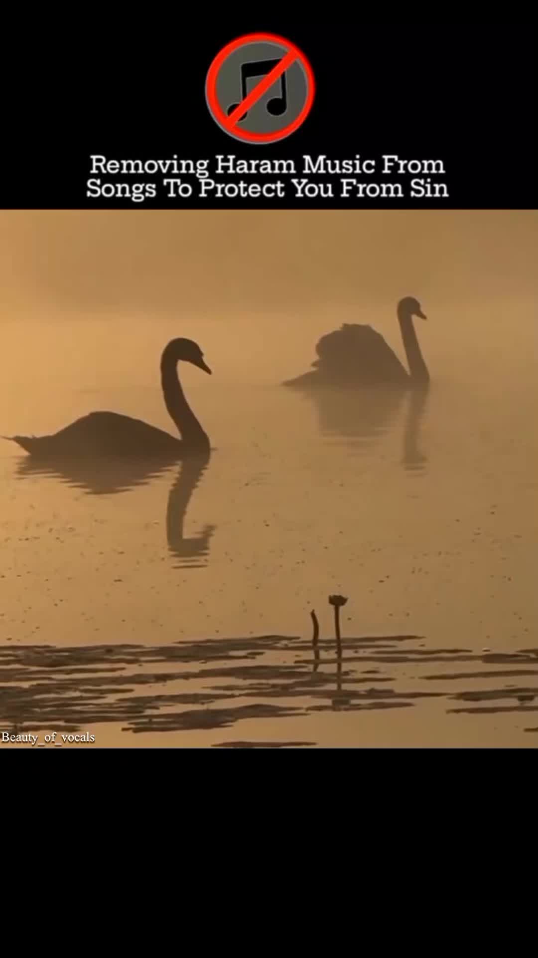 @𝐁𝐞𝐚𝐮𝐭𝐲_𝐨𝐟_𝐕𝐨𝐜𝐚𝐥𝐬
