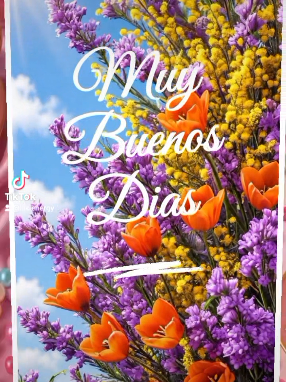 @Kiki
