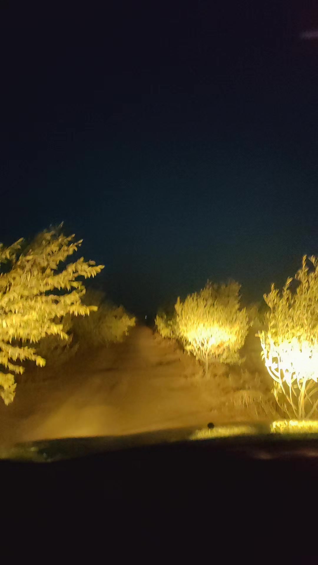 @chak chabani 🇮🇹⚓💰شكشباني