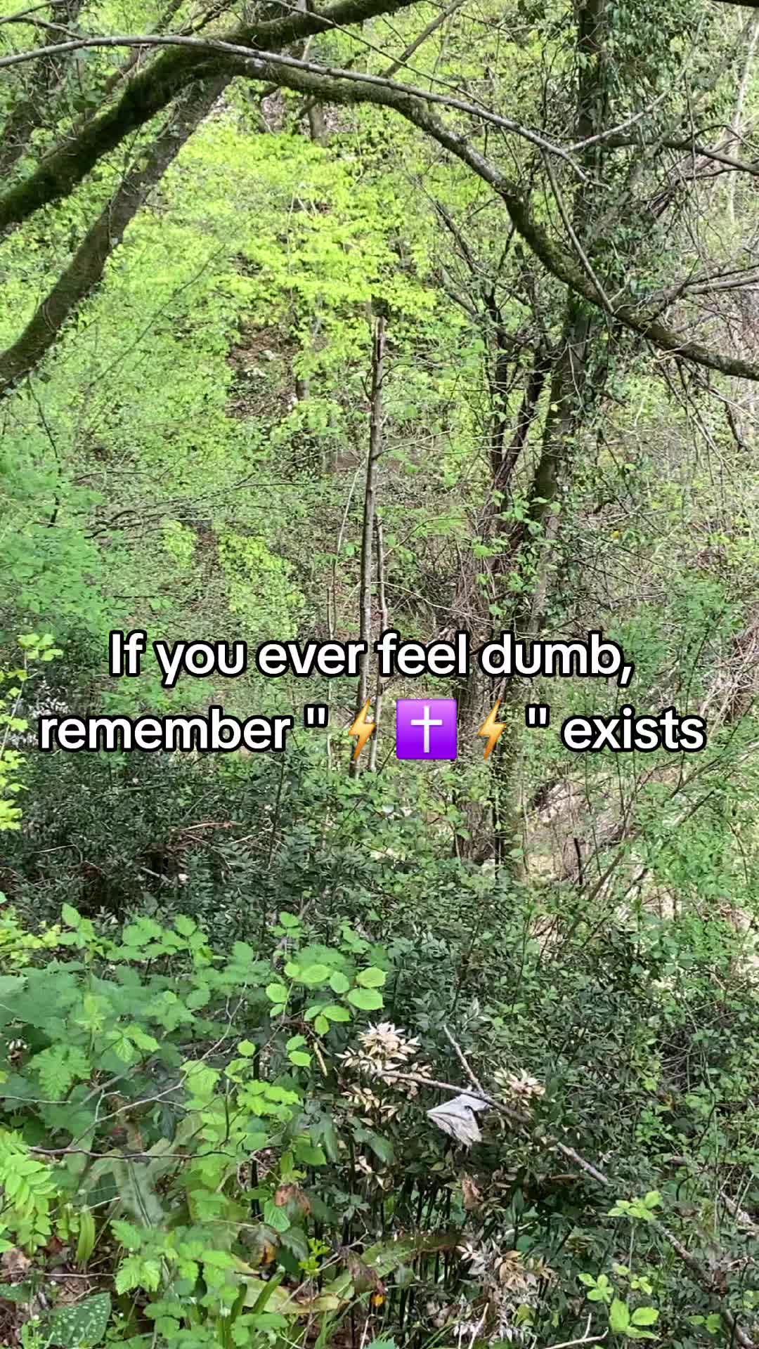 @Violet Evergarden