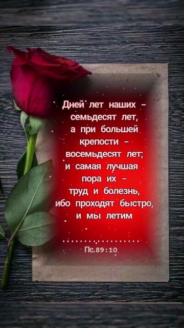 @💫 Юра💫