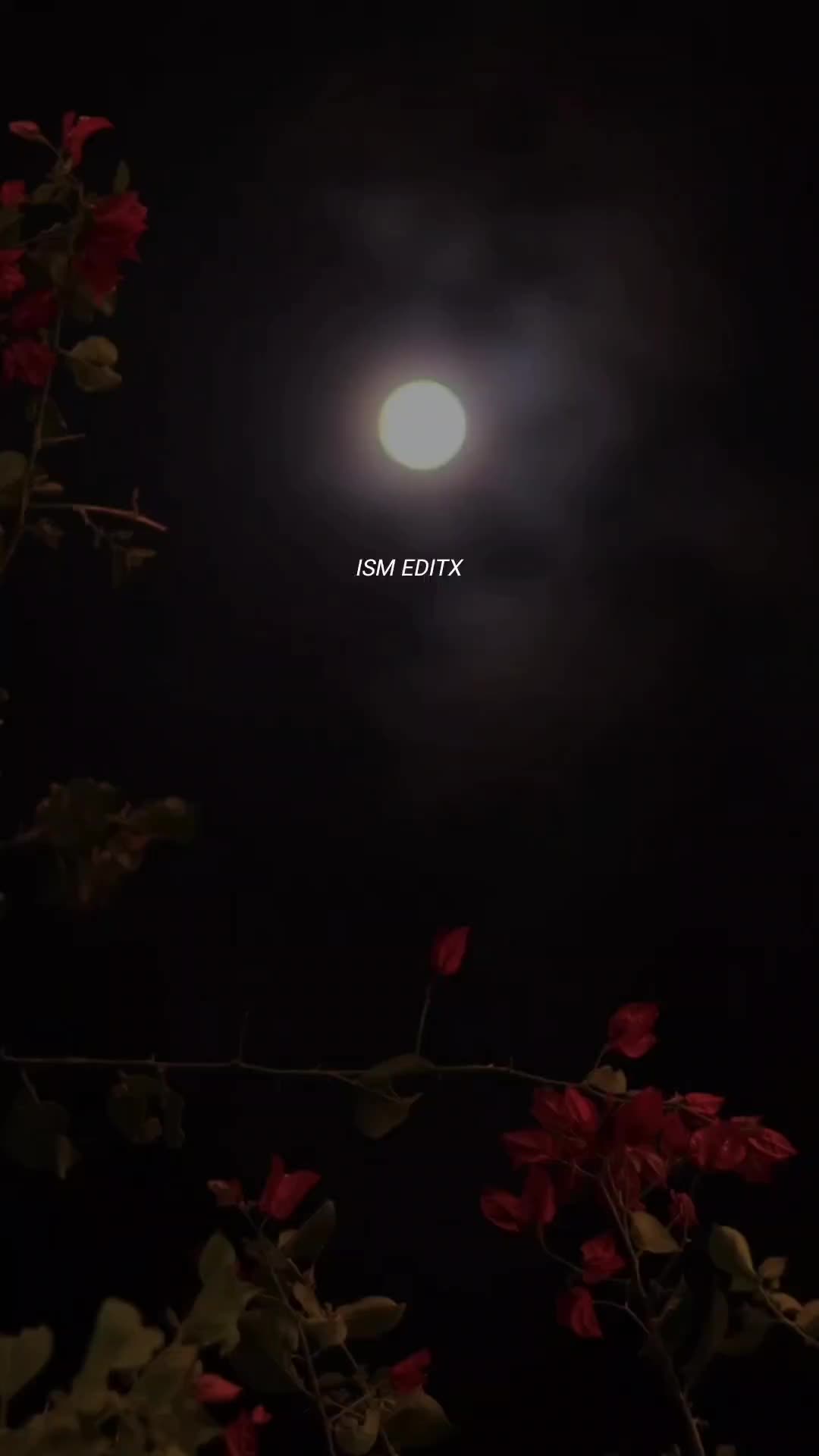@اقراء❤️🔥