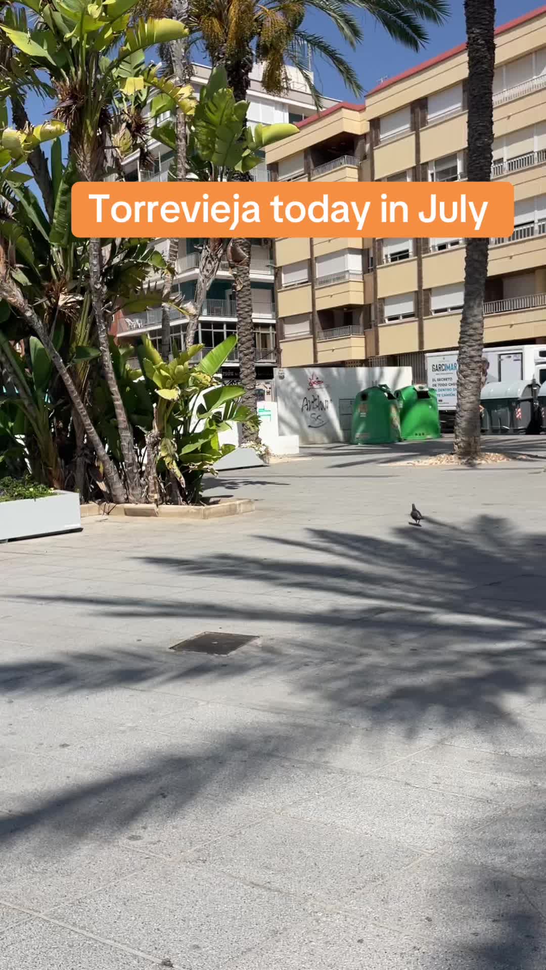 @Paradise