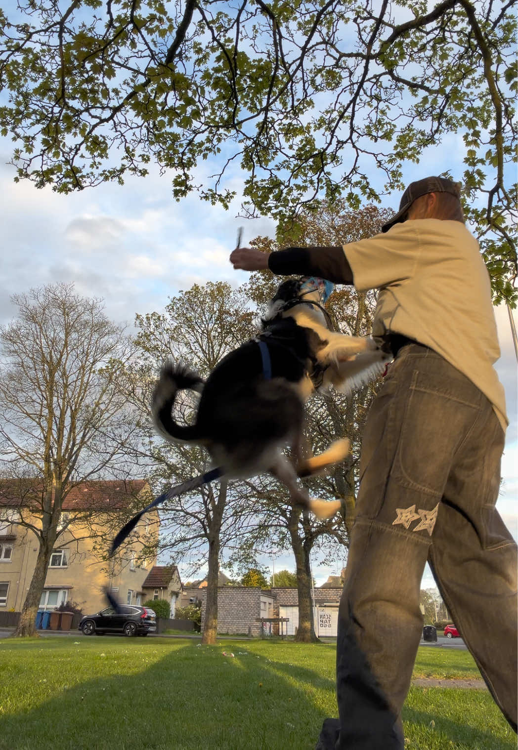 @themworkingdogs🏴
