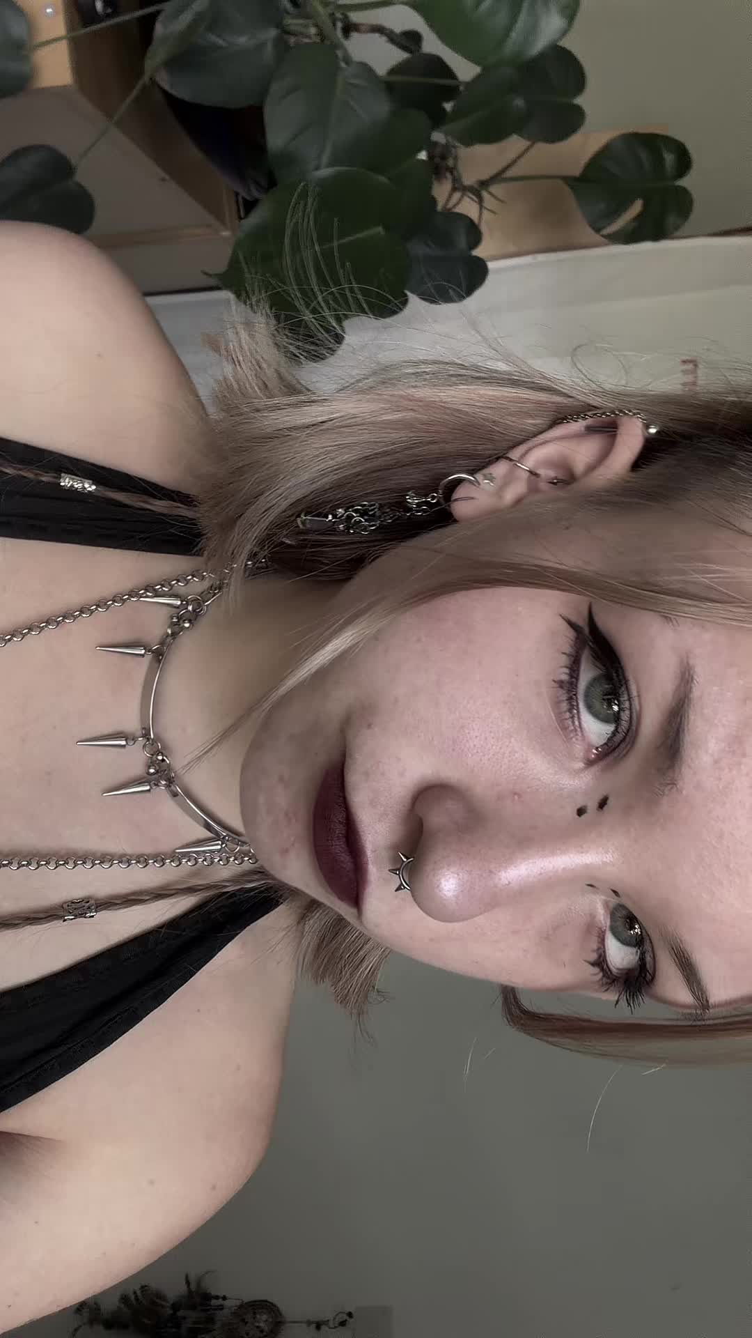 @velvet_curse