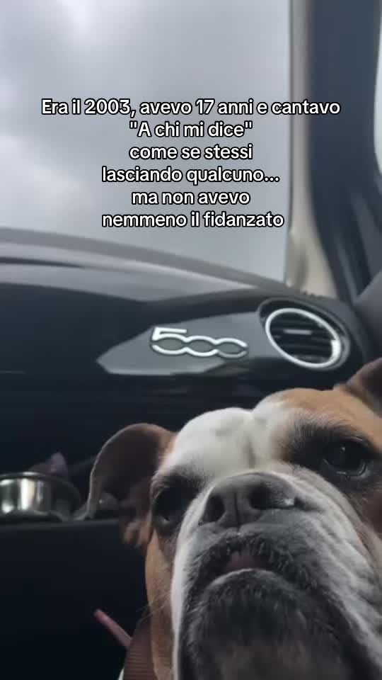 @Sara Talarico