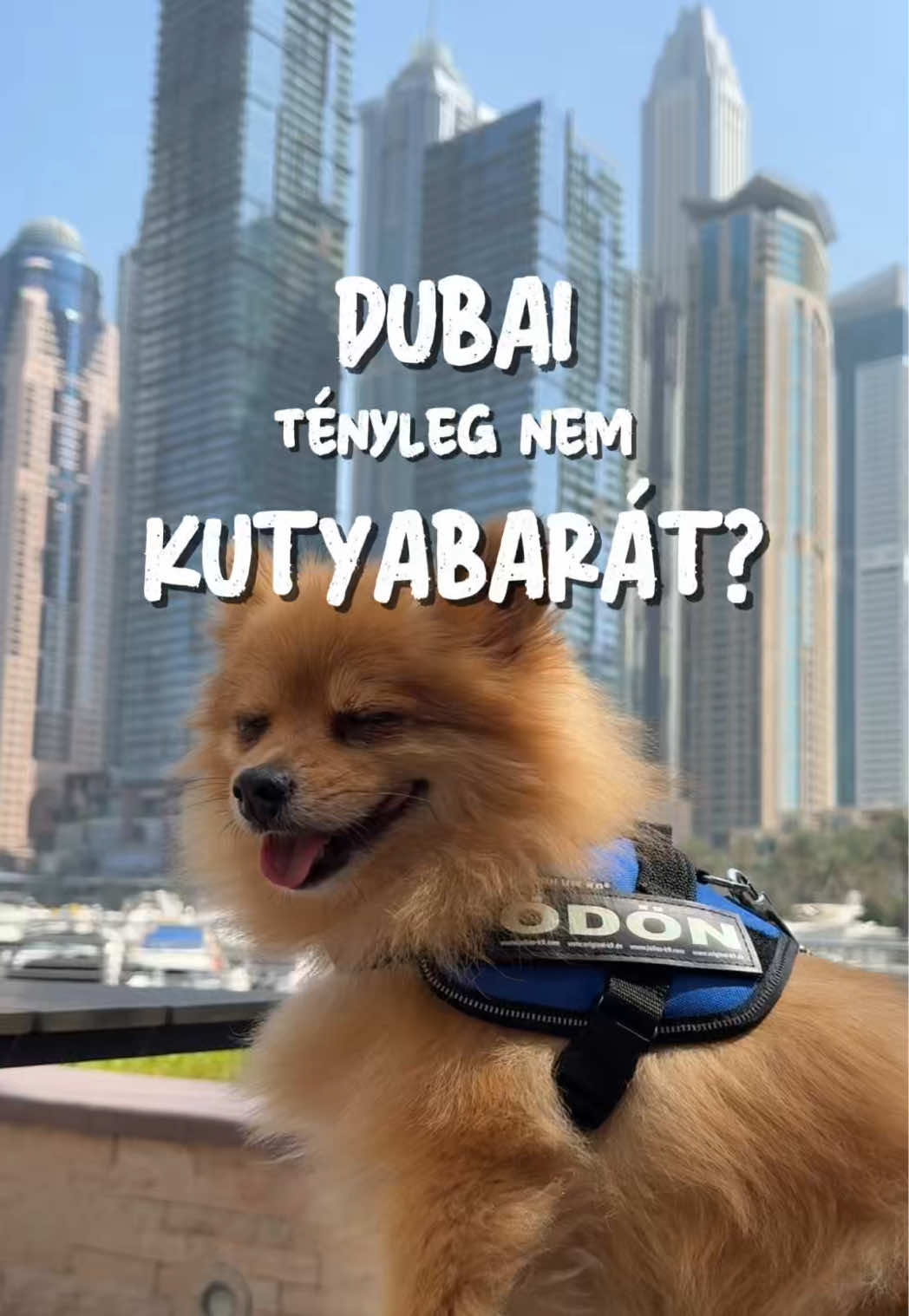 @Dubai Gyerekekkel