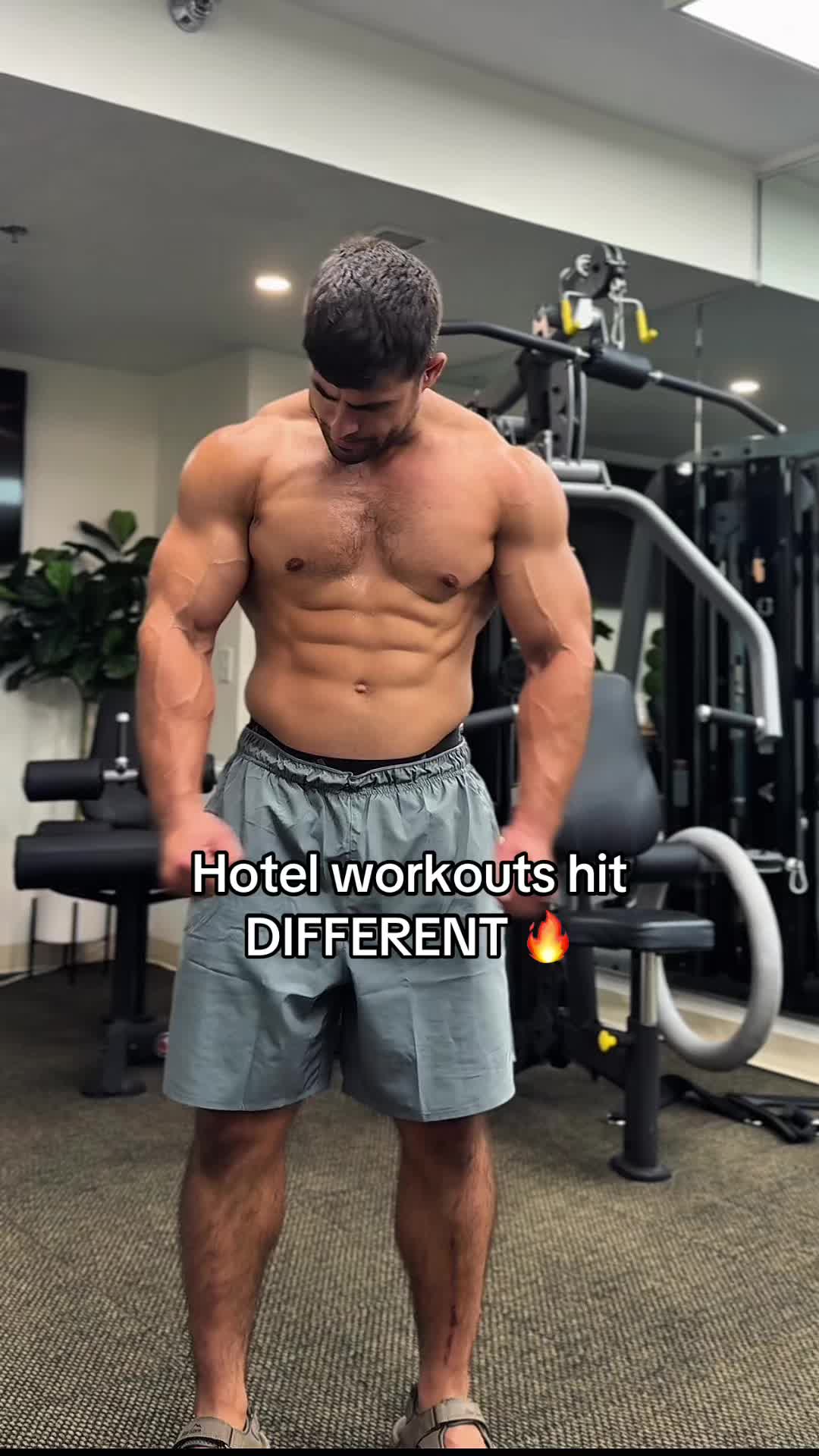@dantai