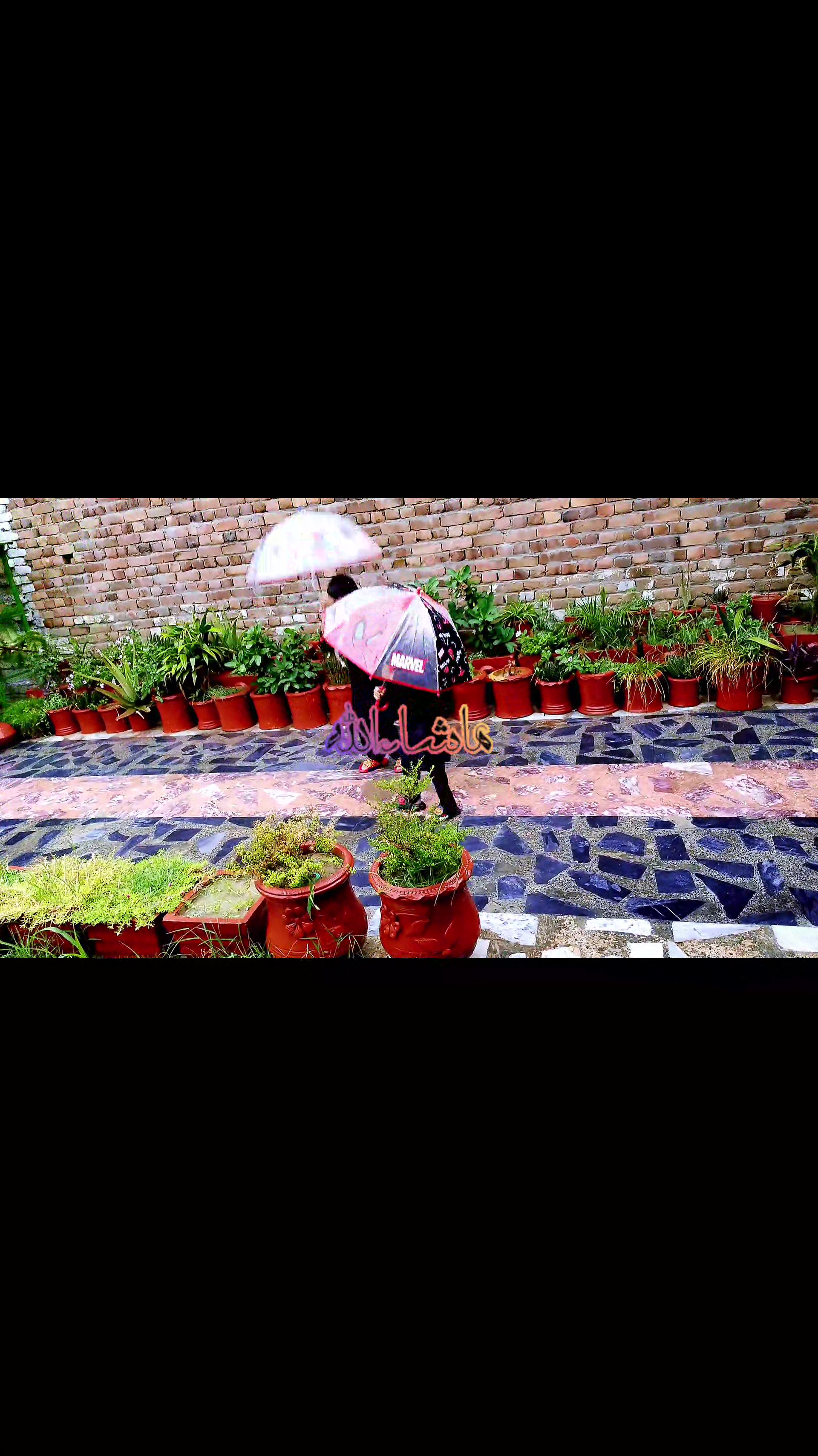 @AzlanAndAmaan