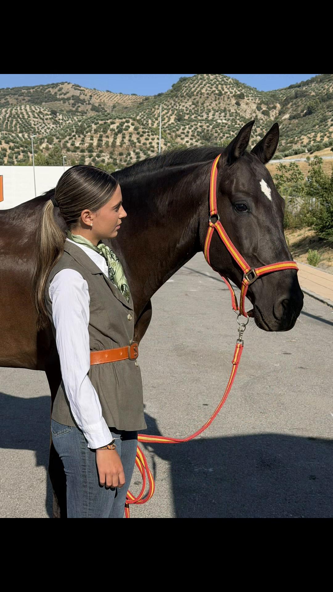 @Sandra Molina🐎🇪🇸