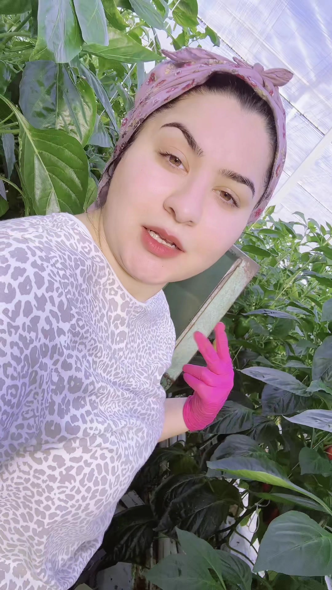 @💜🌸💜Моника Иванова🌸💜🌸