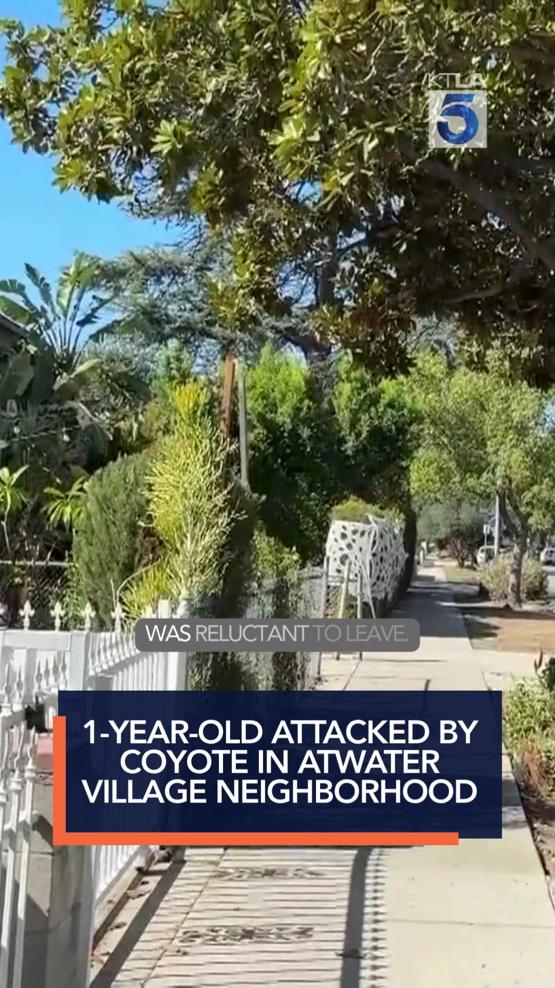 @KTLA 5 News