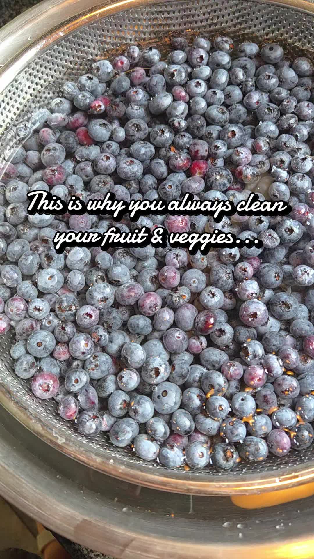 @Lauren | Balanced Wellness