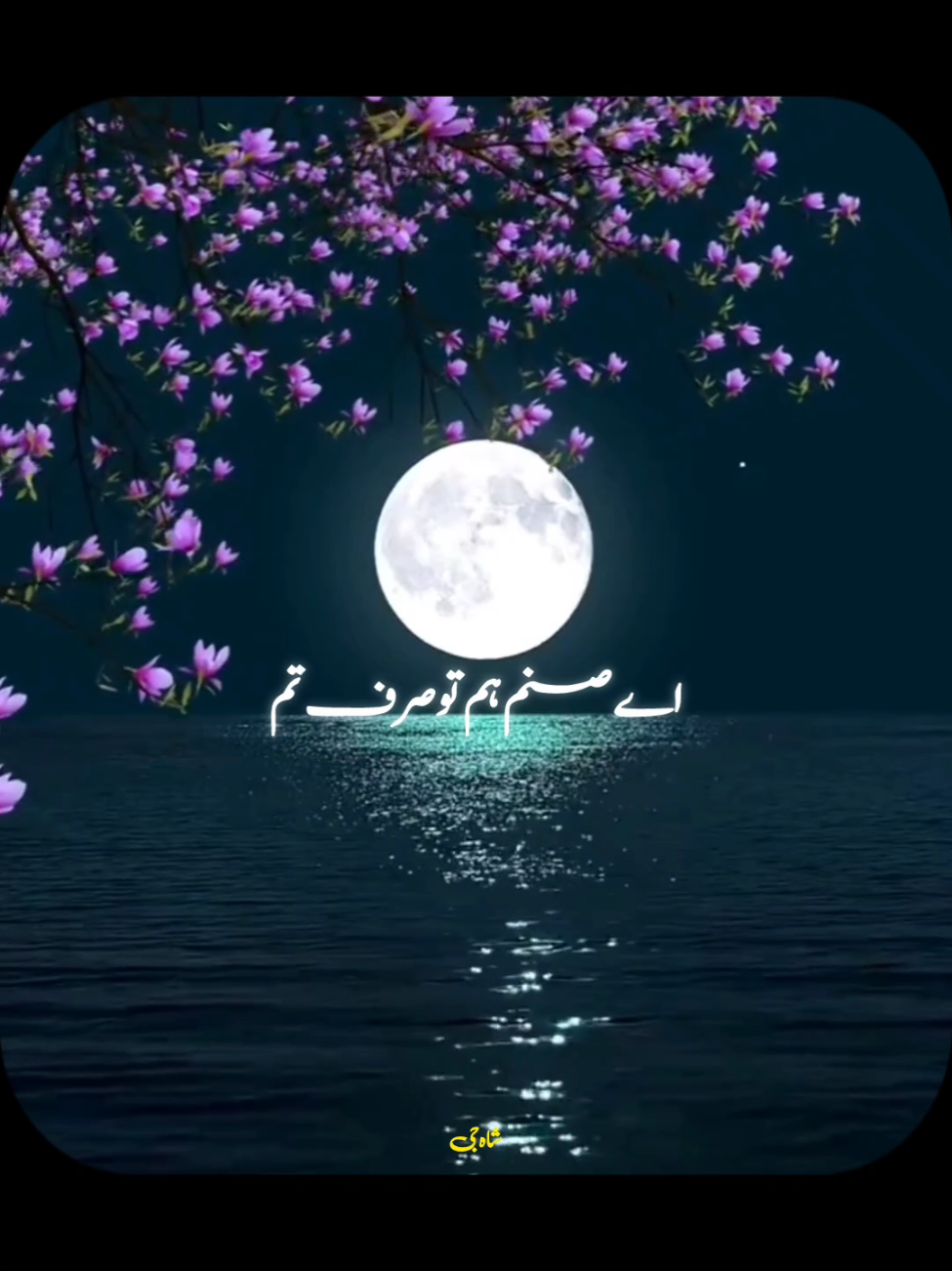 @๐๐ค๐ก๐๐๐ฃ๐๐๐๐ก๐จ โจ