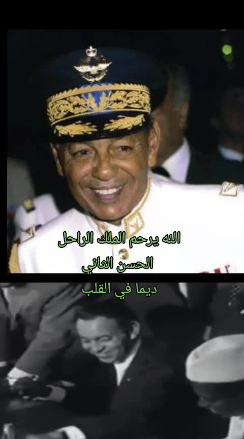 @''احلى عسل" النجمة الساحرة'"