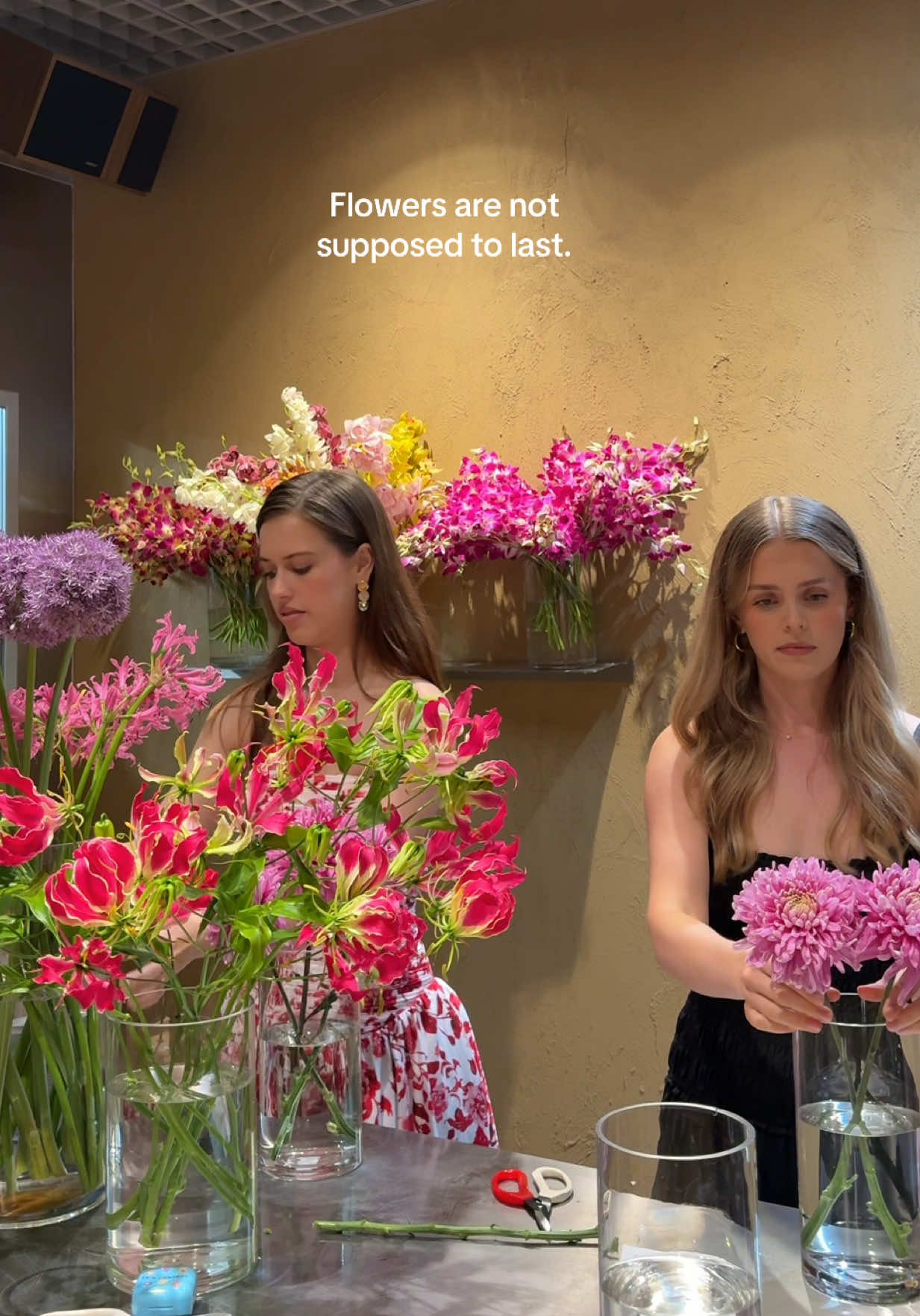 @Ella Victoria